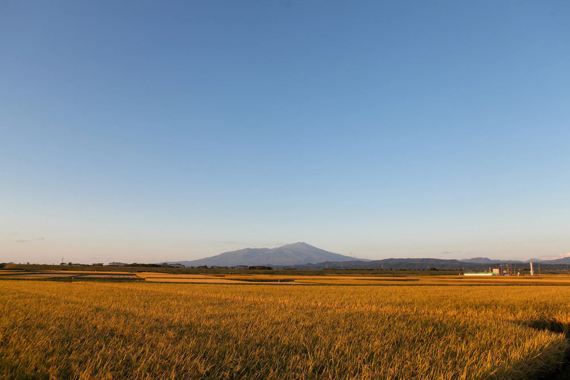 庄内の風景　秋の田園